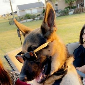 Meet your Posher, Mason